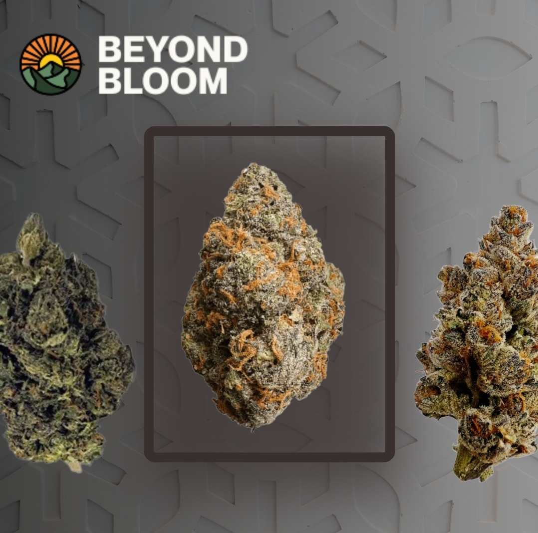 Beyond Bloom Catalog